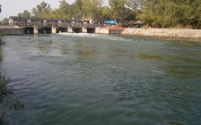 Nilphamari-1