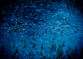 images (1)