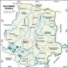 nalitabari