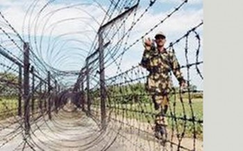 bsf-spt