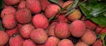 karwanbazar_12_717797428