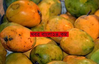 karwanbazar_49_995266036