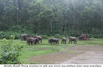 sherpur news 3