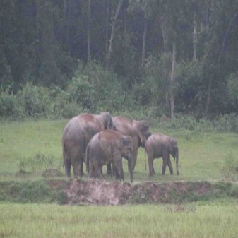 sherpur pic 1